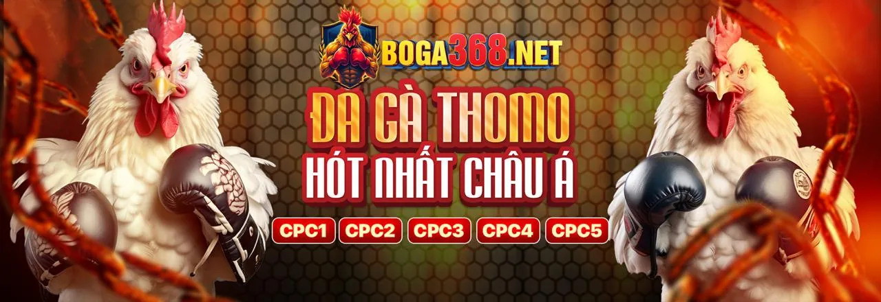 Bj38 nhà cái bảo vệ an toàn cá cược
